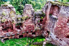 castles-and-ruins_65_50074874717_o